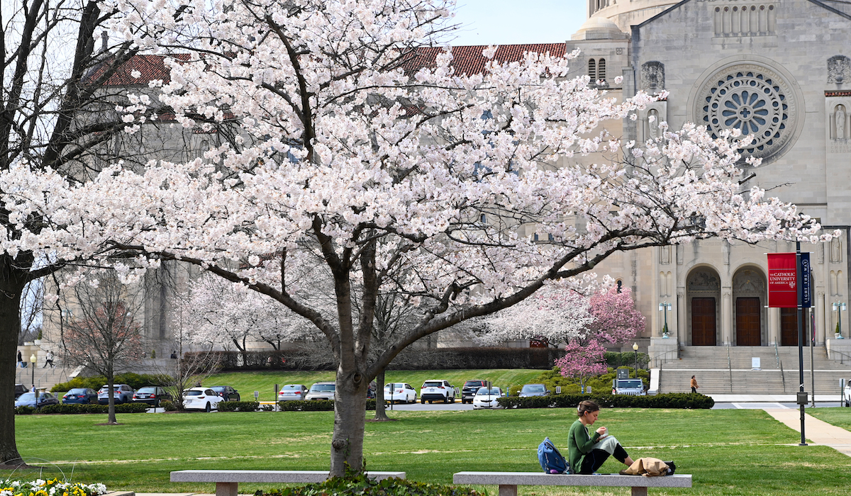 Gibbons Hall with cherry blossoms